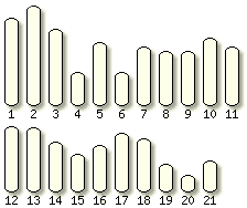 Tetraodon karyotype selector