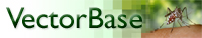 VectorBase