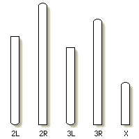 Mosquito karyotype selector