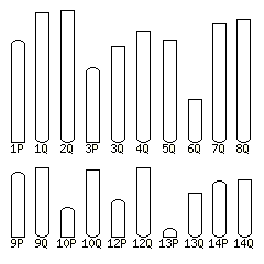 Ciona karyotype selector