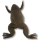 Xenopus tropicalis